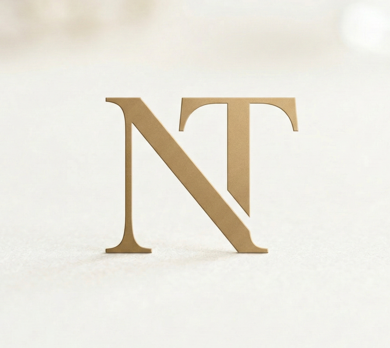 Logo Natalia Tiossi